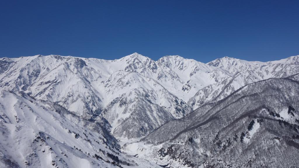 Phoenix Chalets By Hhg Hakuba Extérieur photo